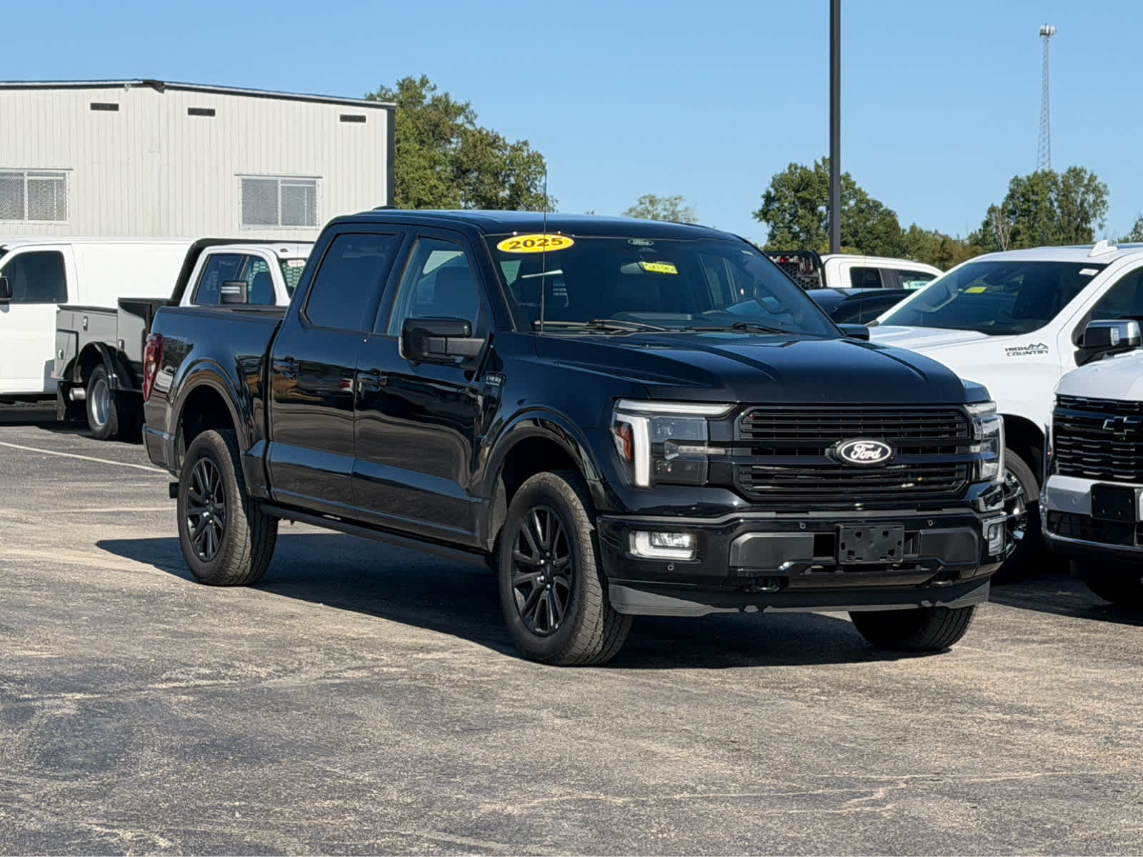 2025 Ford F-150 Platinum