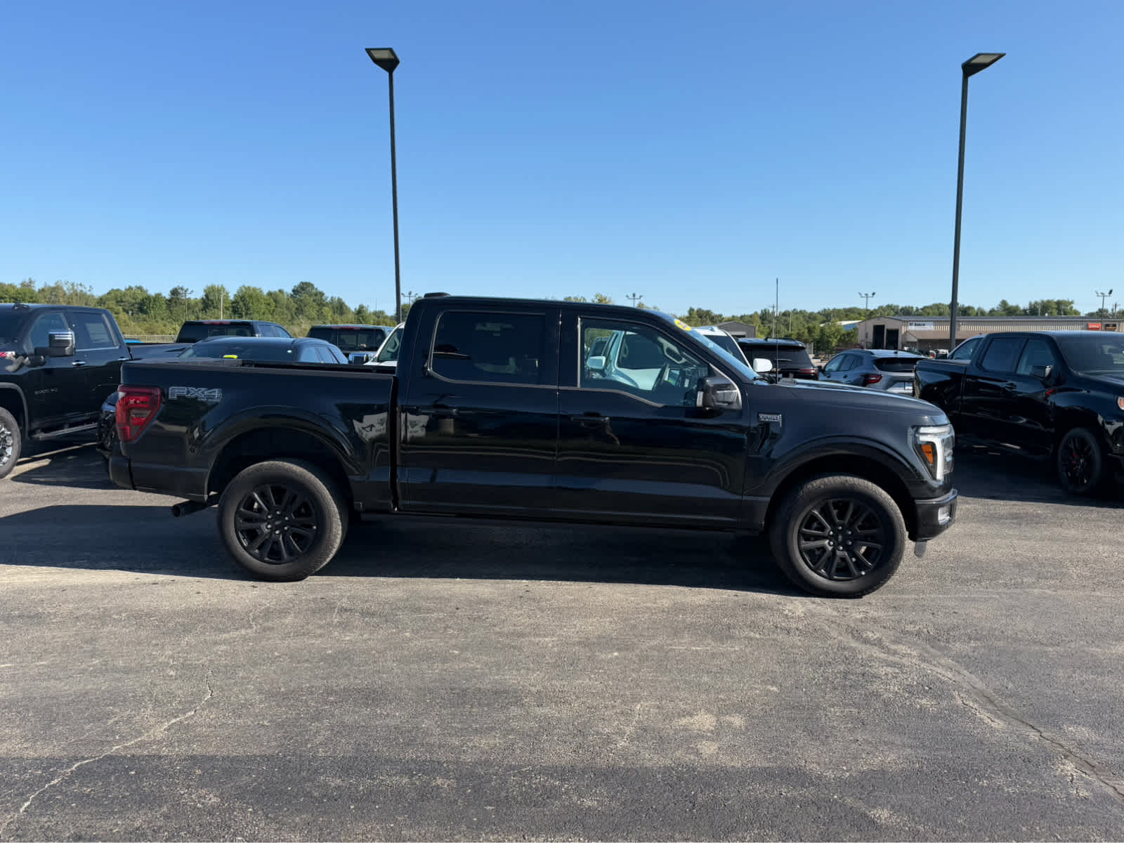 2025 Ford F-150 Platinum